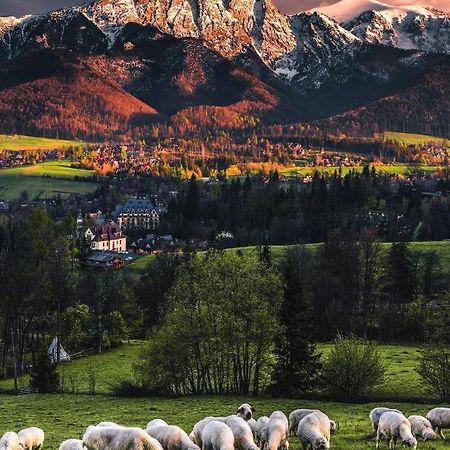 Villa Jumper Widok Na Cale Tatry Lazienka Nie Jest W Pokoju Zakopane Exterior photo